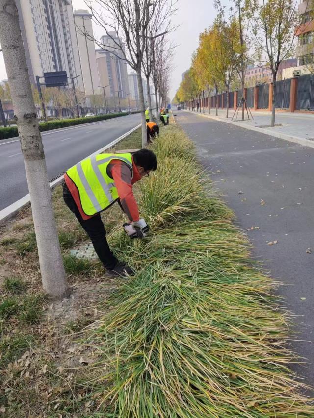 绿化养护工程