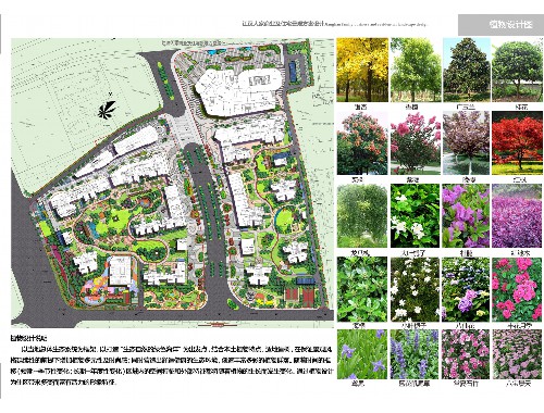 巩义市政绿化公司需要建造师吗知乎